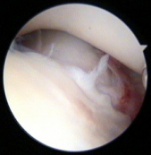 169w  Picture 20111031112445531