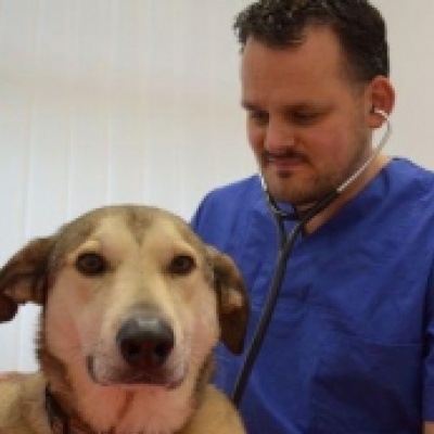 Dr. Robert Höpfner mit seinem Hund Tommi